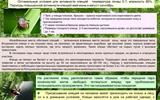 kleschevye-infekcii.-maljarija.-02