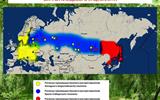 kleschevye-infekcii.-maljarija.-06