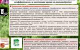 kleschevye-infekcii.-maljarija.-15