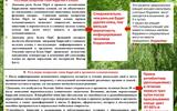 kleschevye-infekcii.-maljarija.-17