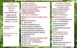 kleschevye-infekcii.-maljarija.-18