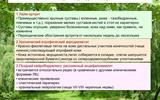kleschevye-infekcii.-maljarija.-21