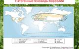 kleschevye-infekcii.-maljarija.-22