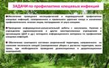 kleschevye-infekcii.-maljarija.-33