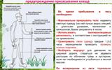 kleschevye-infekcii.-maljarija.-40