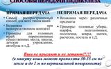 pedikulez-v-sovremennoe-vremja-15