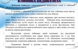 pedikulez-v-sovremennoe-vremja-25
