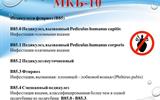 pedikulez-v-sovremennoe-vremja-34
