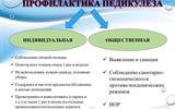 pedikulez-v-sovremennoe-vremja-36
