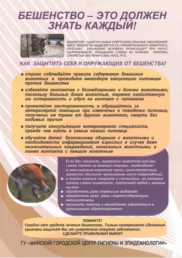 бешенство-это-должен-знать-каждый