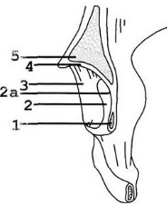 110720231650-4.jpg