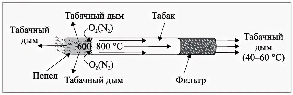 табакокурение 4