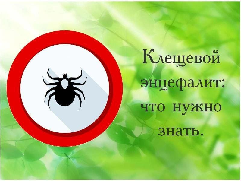 укус-клеща-02