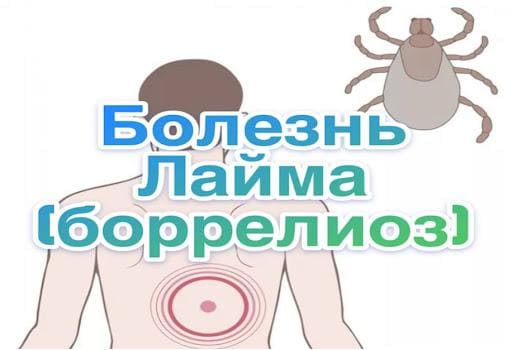 укус-клеща-03