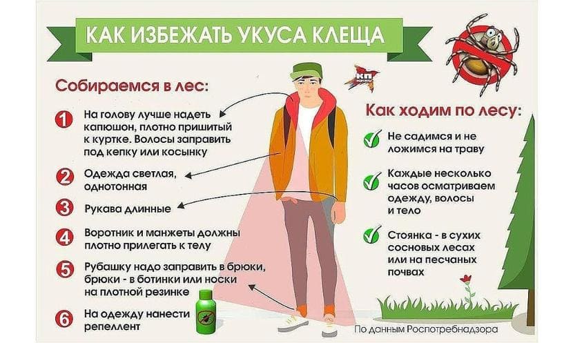 укус-клеща-04