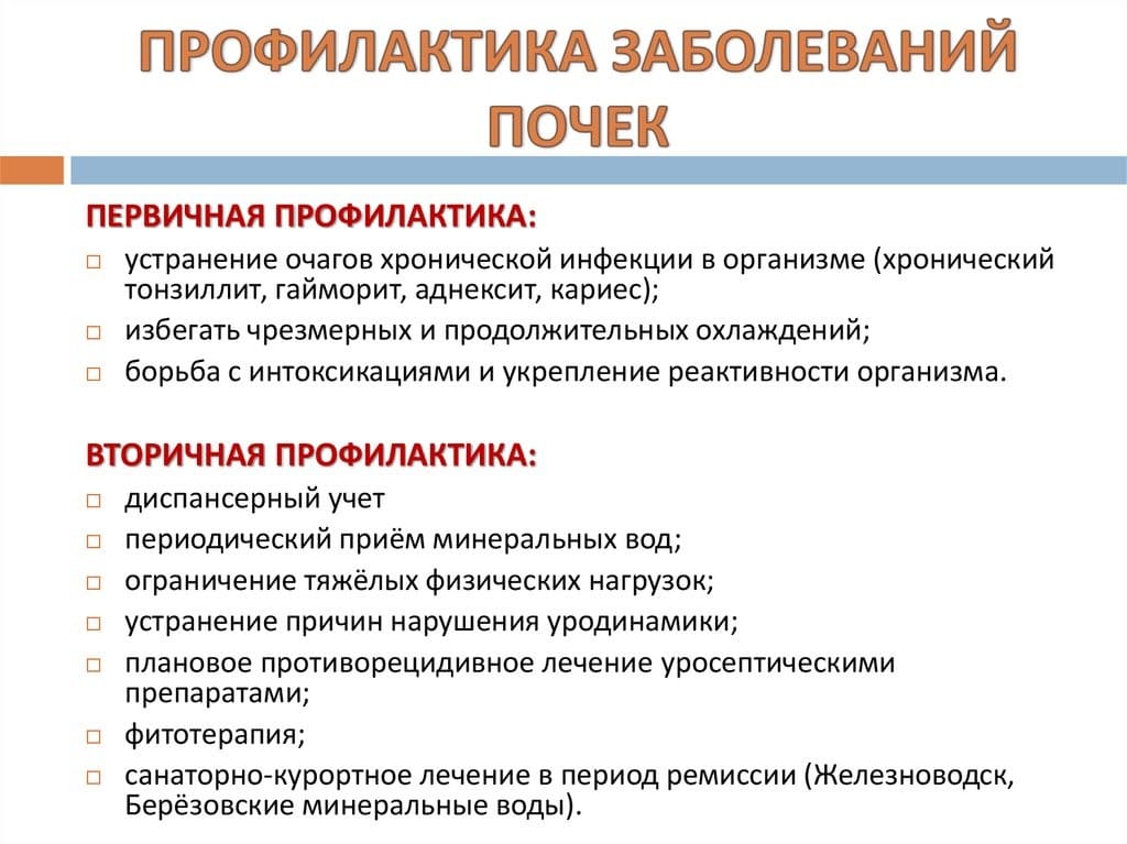 почки_1