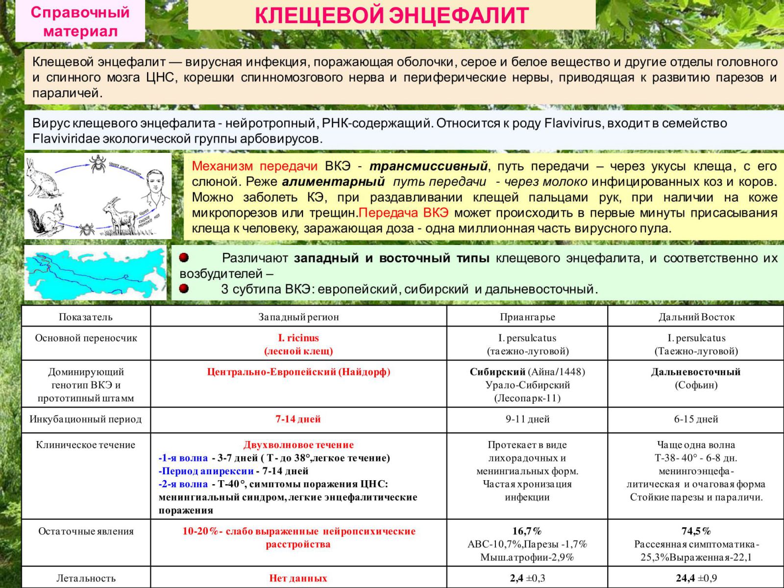 Анализы на клещевые инфекции. Вирус клещевого энцефалита. Вирус клещевого энцефалита строение.